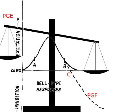 balance of original bell curvekopie.jpg
